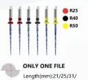 ONLY ONE FILES