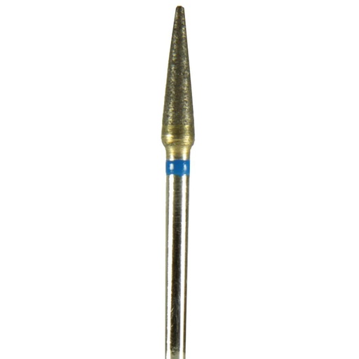 M031