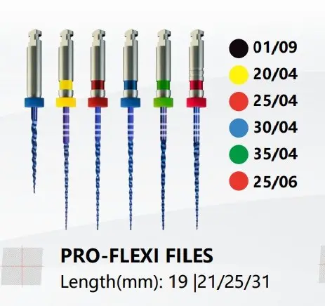 PRO-FLEXI FILES