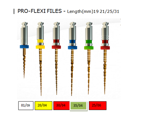 PRO-FLEXI FILES