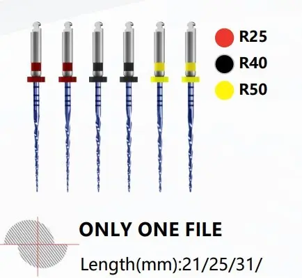 ONLY ONE FILES