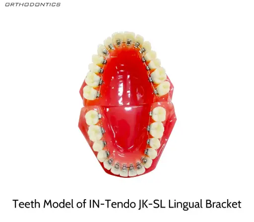 IN-TENDO JK-SL