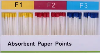 ABSORBENT PAPER POINTS 